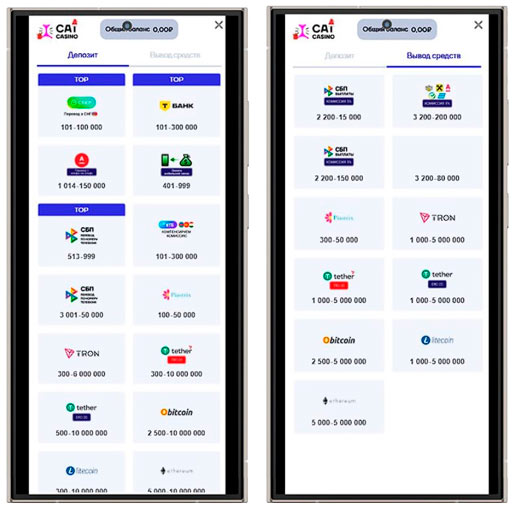 Способы оплаты в Cat Casino